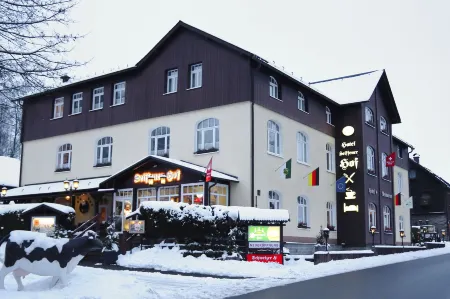 Hotel Seiffener Hof Отели в г. Нойхаузен