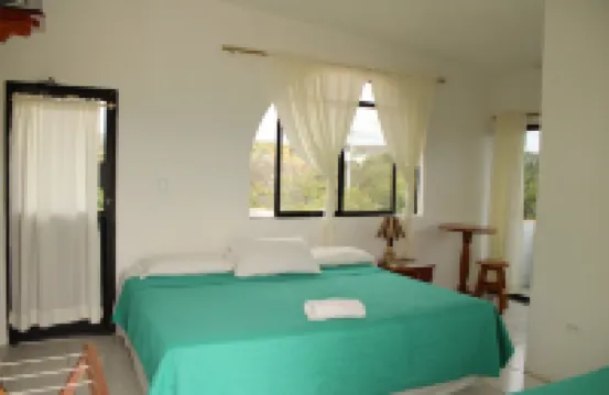 Casa de Nelly