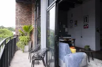 皇家生活波布拉多