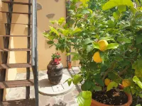 B&B Il Mandorlo