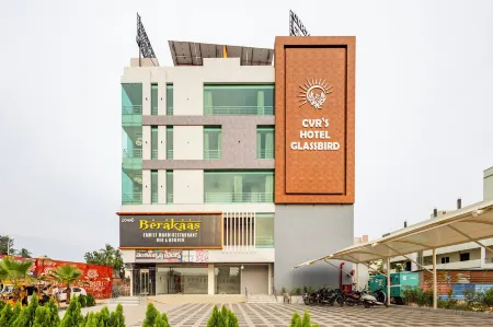 CVR'S HOTEL GLASS BIRD Отели в г. Кришна