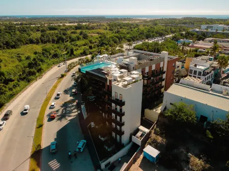 Flamboyan Hotel & Residences Отели в г. Сан-Хосе-дель-Кабо