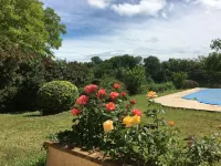 Beautiful Cottage on the bank of the river Tarn - 6/7 people. Pool .