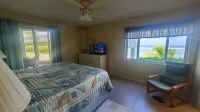 Steps to Sand & Sea - Oceanfront Condo with Pool in Quiet Cayman Kai/Rum Point