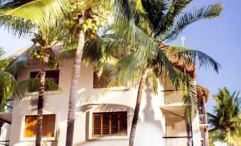 The Reef Playacar Beach Resort & Spa-Optional All Inclusive