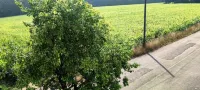 Neue Doppelhaushälfte mit Terrasse, Balkon +garten - 3-Star