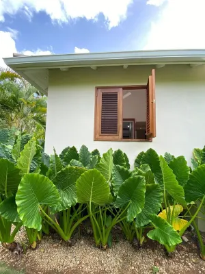 CASA ZEN // Luxury 5 Bed Villa with Private Pool off Incredible Coson Beach!