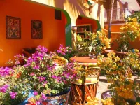 Standard 2 bdrm Suite #1