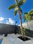 Villa dO Sainte Anne, Piscine & Proche Plage