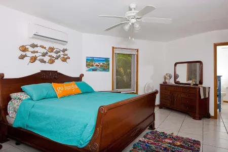 BEACHFRONT VILLA! Snorkel & explore the amazing reef! Experience Caribbean Life!