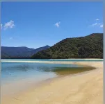 Quiet , Stylish 2 bedroom Apartment , situated in the heart of town.