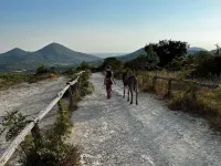 Villa surrounded by nature near Padua and Venice, breathtaking views, animals