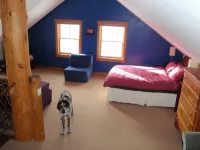 Amazing Rental Nestled in the Wildness But Close to Town