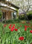 At the foot of the Ventoux family home
