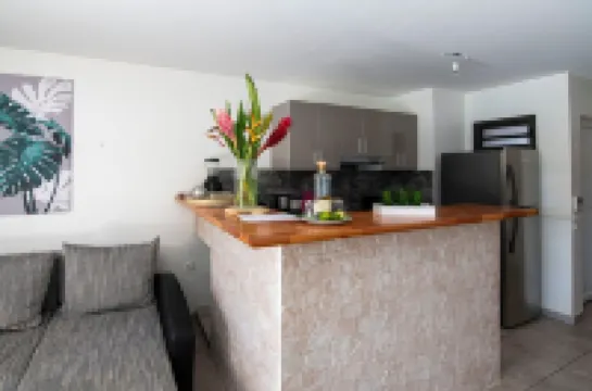 Superb studio in the Bay of Pelicans, 5 minutes from the beach