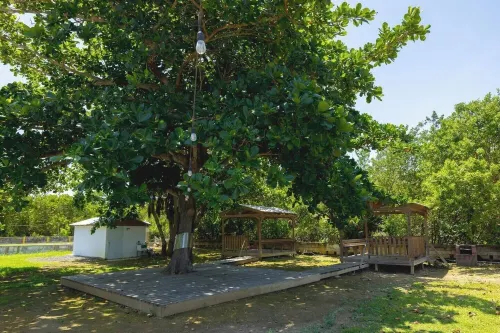 Waves & Chill 4 | Jobos Guest House