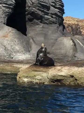 Loreto80-NEW Studio Palma, in downtown by beach