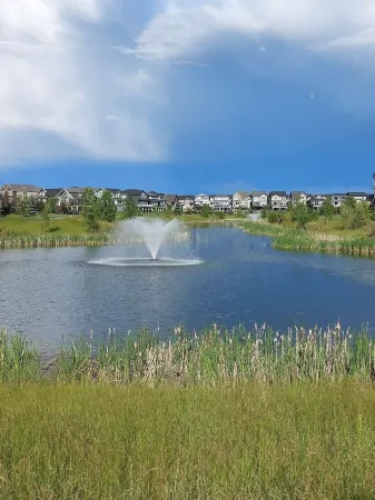 Amazing Basement Suite With a Dedicated Workspace