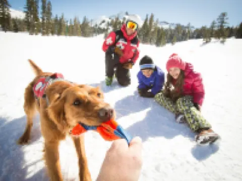 Three Bedroom Mountain at Kirkwood Townhouse by RedAwning Hotels in Kirkwood