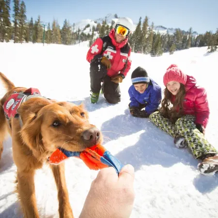 2Br+ Loft Centrally Located Kirkwood Great Value 2 Bedroom Condo by RedAwning Отели в г. Кирквуд