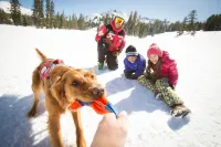 Three Bedroom Mountain at Kirkwood Townhouse by RedAwning Hotels in Kirkwood