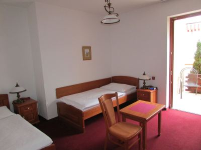 Hotel Pegas Brno