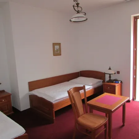 Hotel Pegas Brno