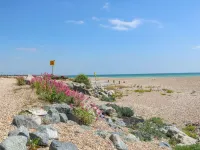 50 Harbour Road Hotels in Arun