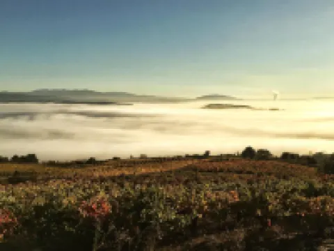 Las Doñas del Portazgo Hotels in Villafranca del Bierzo