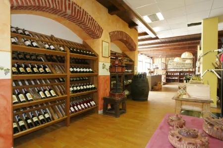 Motel Monterosa Отели в г. Domodossola