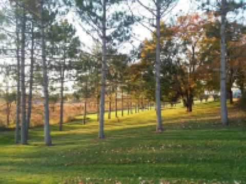 Shane Acres Country Inn Hotels in Dodge County
