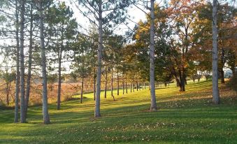 Shane Acres Country Inn