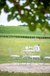 L' Ecrin des Vignes Hotels in Sermiers