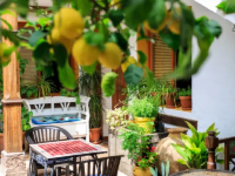 Boutique Hotel la Posada del Angel Ojén Hotels in Ojen