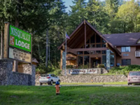 尼斯科利旅館 阿什福德酒店