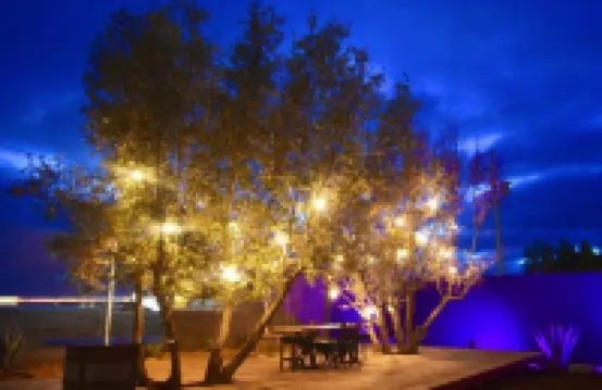 ฟินคา คาโซซา