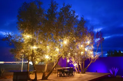 ฟินคา คาโซซา