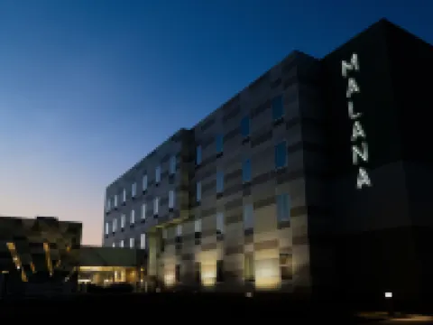 Malana Hotels & Suites Hotels in Cotulla