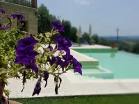 Il Merangolo Agriturismo Hotel a Montebuono