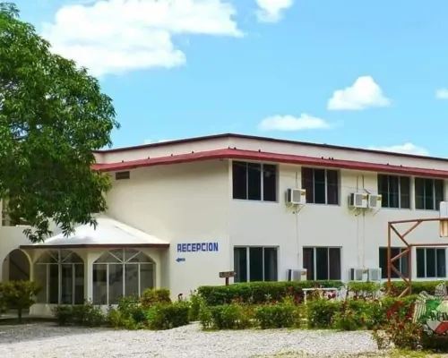 Hotel Los Leones Hotels in Palenque