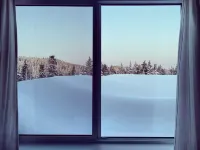 Big Bear Chalet, modern home on Mount Washington Hotels in Comox Valley