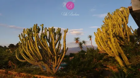 Villa Barbara A show every dawn