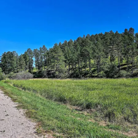Heart of Black Hills Home by Mickelson Trail!