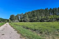 Heart of Black Hills Home by Mickelson Trail! - parking