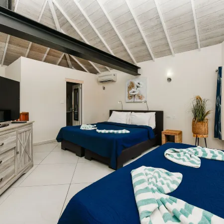 Boutique Hotel Swiss Paradise Aruba Villas and Suites