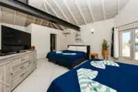 Boutique Hotel Swiss Paradise Aruba Villas and Suites - Jacuzzi