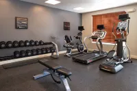 Hilton Garden Inn Baton Rouge Airport - palestra