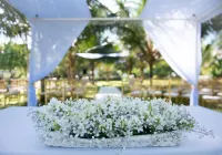 Lantana Galu Beach