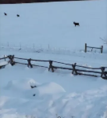 Polaris Paradise Elkhorn, Entire Townhouse in scenic Polaris, MT