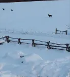 Polaris Paradise Elkhorn, Entire Townhouse in scenic Polaris, MT